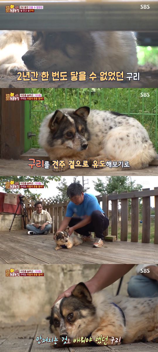 SBS 'TV 동물농장-우린 같이 산다' 방송 캡처