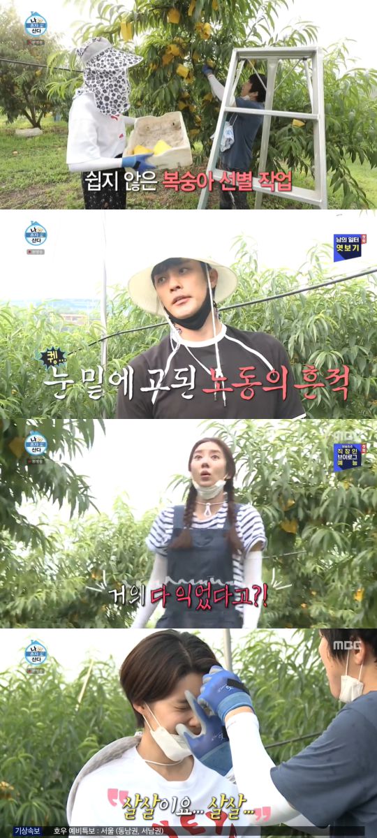 MBC '나 혼자 산다' 방송 캡처