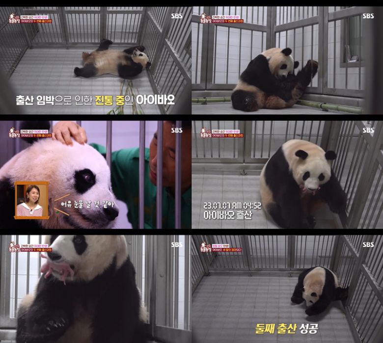 SBS 'TV 동물농장'