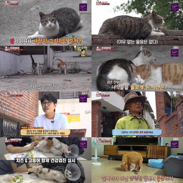 SBS ‘TV동물농장’