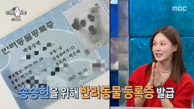 아이비, '송승헌과 동거설' 해프닝에 직접 해명(출처=MBC '라디오스타')