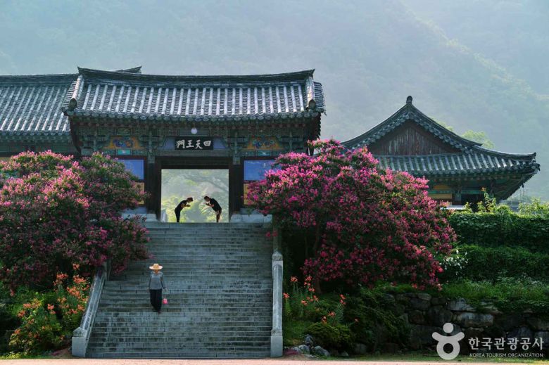 (ⓒ한국관광공사) 표충사