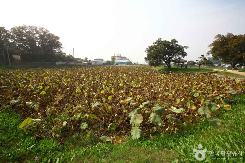 (ⓒ한국관광공사) 피향정
