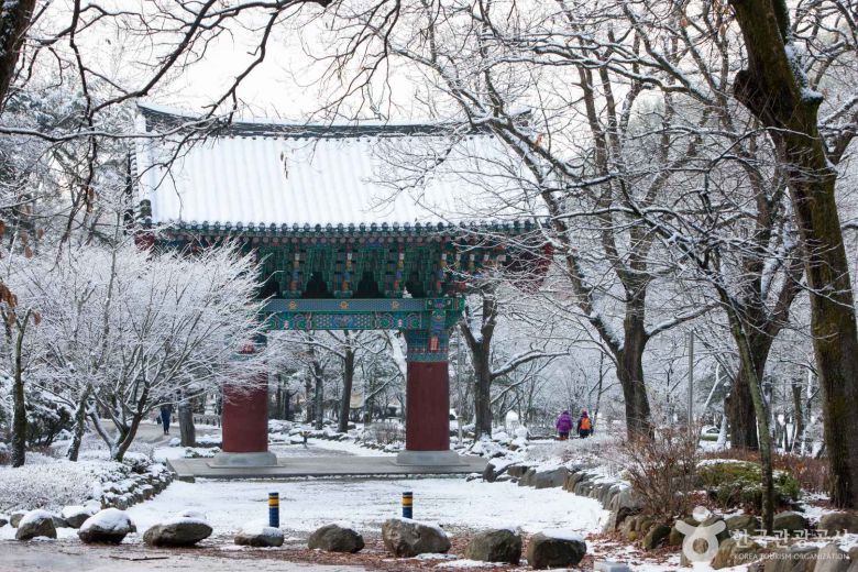 (ⓒ한국관광공사) 김제금산사