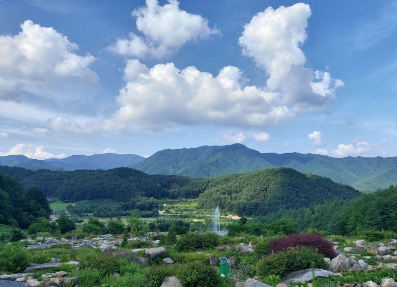 지난 9일 경북 봉화군 춘양면 국립 백두대간 수목원 ‘암석원’ 풍경. 김선식 기자