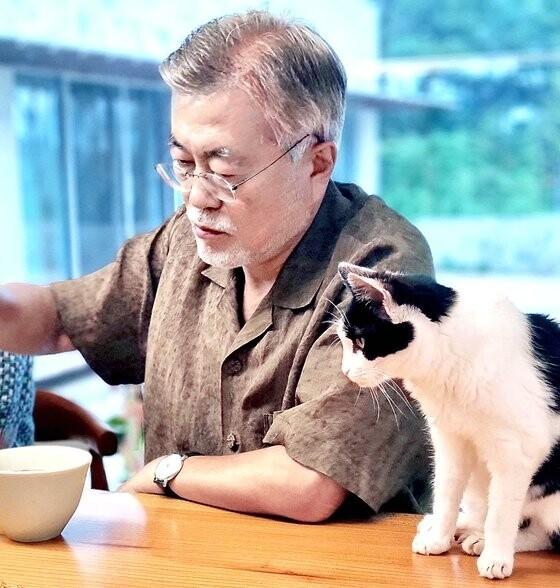 문재인 전 대통령 딸 다혜씨 트위터 갈무리