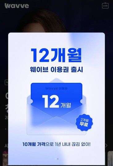 국내 온라인동영상스트리밍(OTT) 서비스 웨이브가 1년 단위 할인요금제를 출시했다. 웨이브 누리집 갈무리