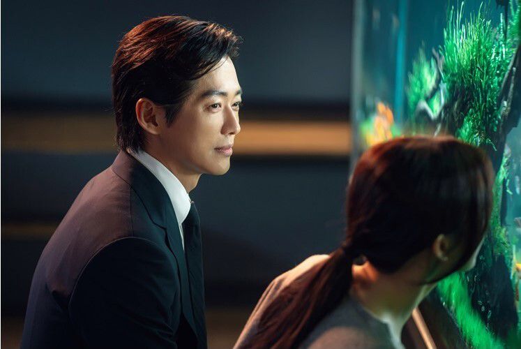 에스비에스 제공