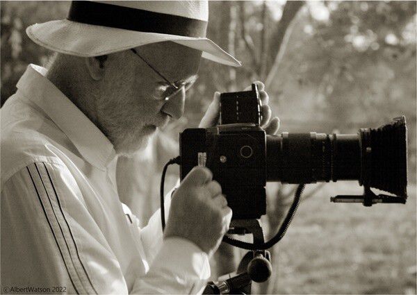 알버트 왓슨. 작가 제공