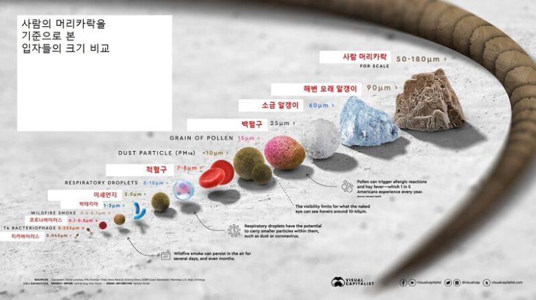 코로나바이러스는 머리카락 굵기의 1000분의 1 정도밖에 안되는 크기의 유전물질에 불과하지만 놀라운 속도로 우리 일상을 잠식했다. 비주얼캐피탈리스트