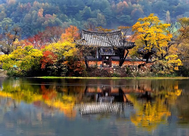 경남 밀양 위양지의 완재정. 밀양시청 누리집 갈무리