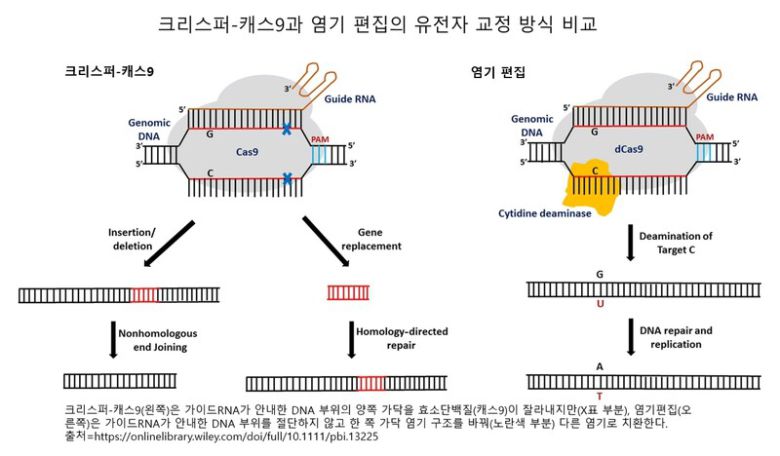 한겨레