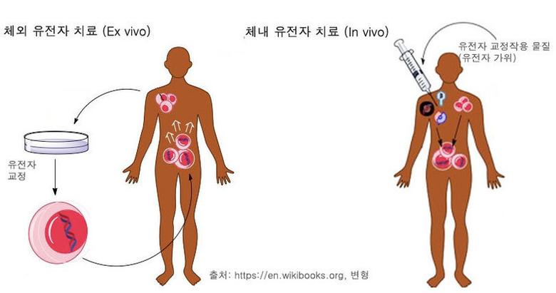 한겨레