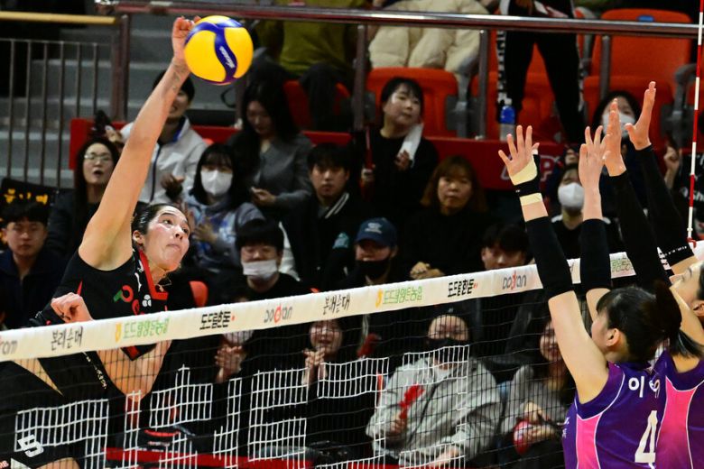 페퍼저축은행 에이아이(AI)페퍼스 야스민 베다르트(등록명 야스민). 한국배구연맹 제공