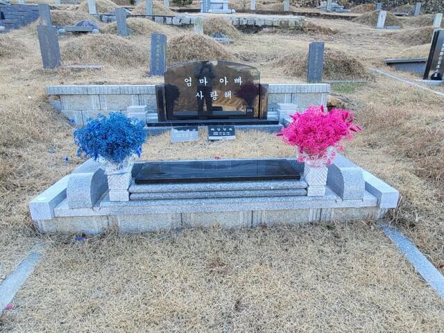 경남 김해시는 2022년 1월부터 플라스틱 조화 사용 근절 운동에 적극적으로 나서 시민들의 호응이 크다. 사진은 묘지에 말린 꽃이 놓여 있는 모습. 김해시 제공