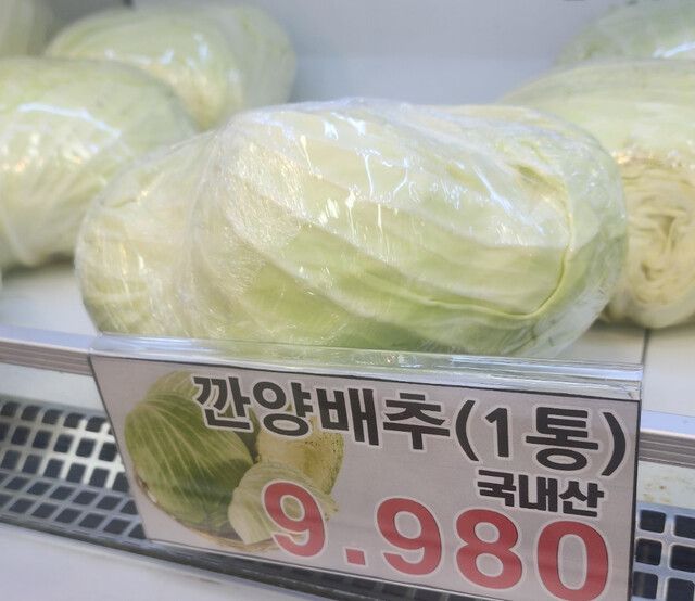 한 자영업자 커뮤니티에 올라온 양배추 가격 사진. 커뮤니티 갈무리