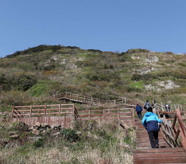 ‘장도 습지’로 오르는 나무 데크 길. 박미향 기자
