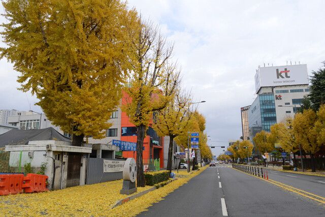 광주 5·18민중항쟁사적지 고 홍남순 변호사 가옥. 미디어민 제공