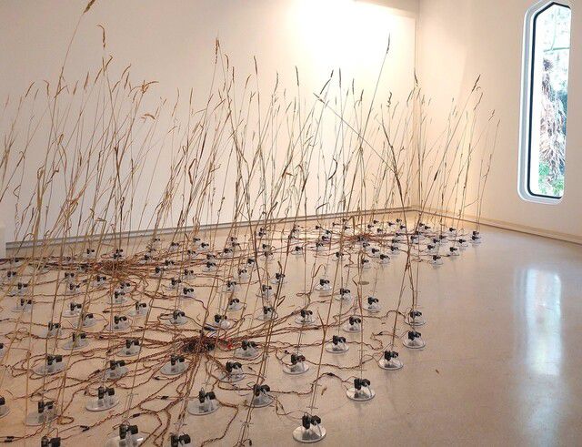 글렌데일의 브랜드 라이브러리 아트센터 1층에 전시 중인 키네틱 작가 데이비드 보언의 ‘풀밭’. 미국 항공우주국(나사) 제트추진연구소(JPL)의 과학기술자들과 손잡고 만든 이 작품은 현재 화성에서 활동 중인 탐사선 퍼시비어런스호의 로버 탐색장치가 화성에 부는 바람의 풍속 데이터를 실시간 전송받아 감지센서 위의 풀들을 흐늘거리게 하는 얼개다. 아티스트들이 나사와 협업해 꾸린 기획전 ‘혼합된 세계: 행성 간 상상의 실험’에 나온 출품작들 가운데 일부다.