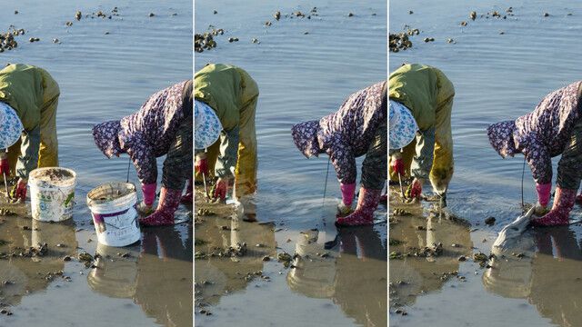 왼쪽은 갯벌 사진 원본. 중간은 애플 ‘클린업’으로, 오른쪽은 갤럭시 ‘생성형 편집’으로 통 2개를 없앤 모습. 클립아트코리아