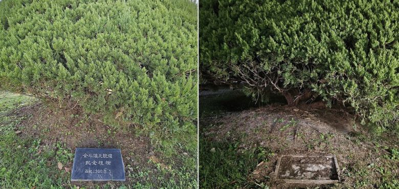 ‘12·3 윤석열과 12·12 전두환 심판의 날’ 참가자들은 12일 합천군청 정원에 있는 전두환 기념식수의 기념비(왼쪽)를 뽑아냈다. 오른쪽 사진은 기념비를 뽑아낸 이후 모습. 최상원 기자