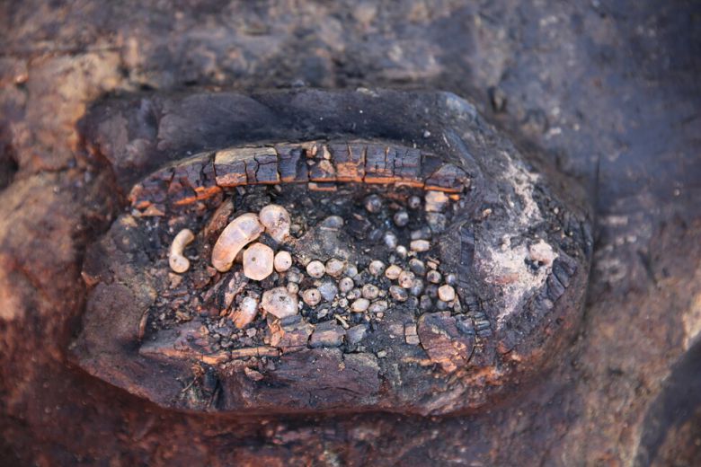 수정 목걸이 담긴 나무상자. 출토당시 모습이다.