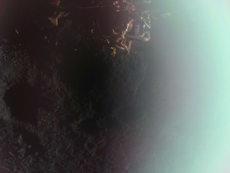 블루고스트가 2일 달 표면에 착륙한 직후 처음으로 보내온 사진. 달 표면과 우주선 장비의 일부가 보인다. 오른쪽이 밝은 것은 햇빛 때문이다. 파이어플라이 에어로스페이스 제공