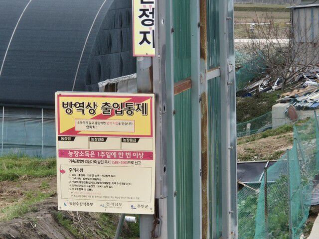 18일 오후 전남 무안군 일로읍 한 축산 농가 앞에 출입금지 팻말이 붙어 있다. 정대하 기자