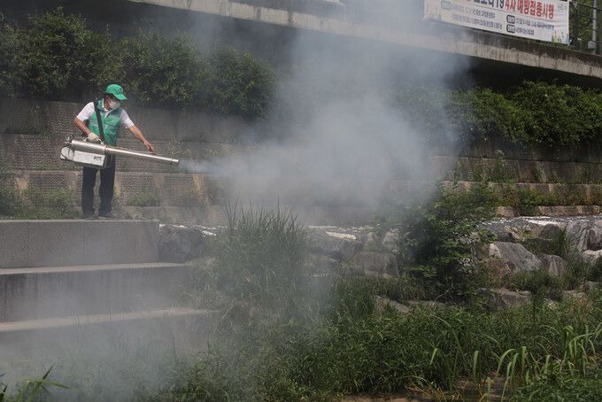 러브버그 관련 민원이 도심 곳곳에서 폭증하자 서울 성북구청 들머리에서 새마을지도자 방역 봉사대원들이 러브버그 선제 방역활동을 하고 있다. 김혜윤 기자 unique@hani.co.kr