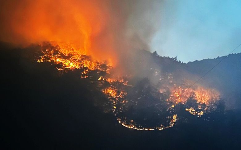 경북 의성 산불이 안동 길안면으로 번져 25일 이틀째 확산하고 있다. 지난 22일 의성군 안평면·안계리에서 발생한 산불의 불씨는 24일 오후 4시께 강풍을 타고 북동쪽으로 20여㎞ 이상 떨어진 안동시 길안면까지 덮쳤다. 안동시 제공
