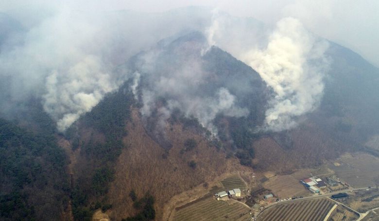 경북 의성에서 시작된 산불이 안동으로 번진 가운데 25일 오전 경북 안동시 길안면 백자리 일대 야산에서 연기가 피어오르고 있다. 연합뉴스