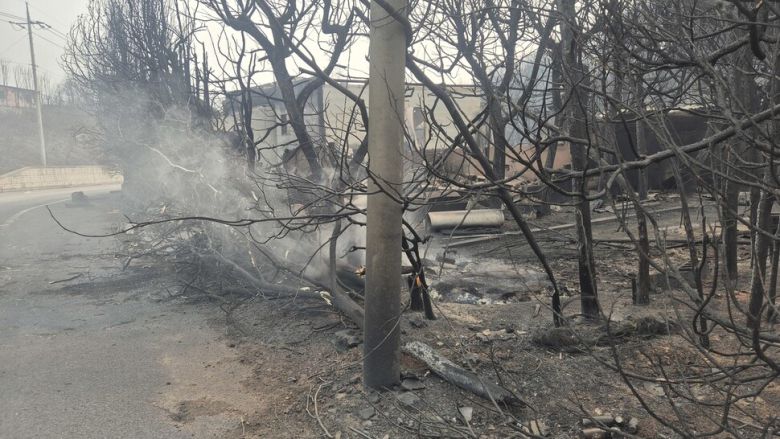 26일 경북 영덕군 영덕읍의 한 도로가에 불씨가 남아 타고 있다. 주성미 기자