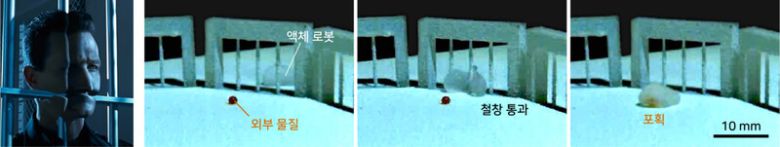 영화 ‘터미네이터 2’의 T100(왼쪽)처럼 액체 로봇이 철창 사이를 통과하고 외부 물질을 포획하는 모습(오른쪽). 서울대 공대 제공