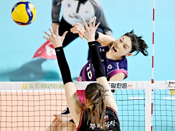 흥국생명 김연경. 한국배구연맹 제공