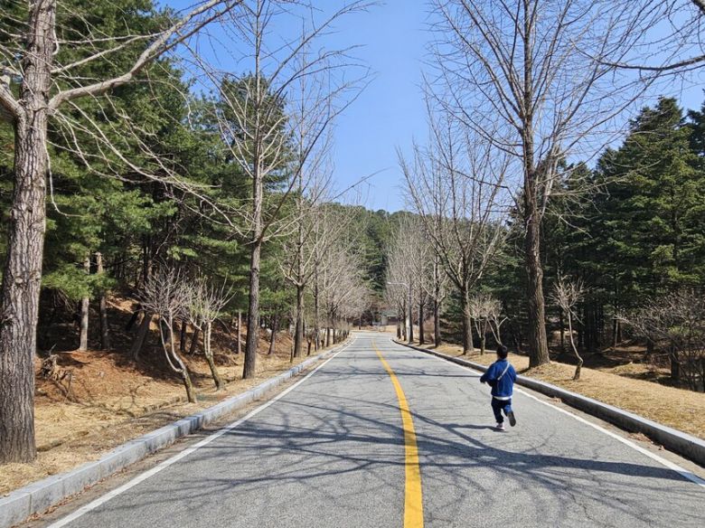 대전현충원 대통령 묘역에서 봉안관 쪽까지 ‘국수 먹으러’ 뛰어내려가는 아이. 최예린 기자