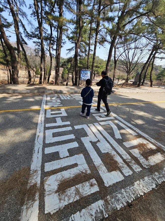 대전현충원 둘레길 1코스인 빨강길을 벗어나 주황길 쪽으로 가고 있다. 최예린 기자