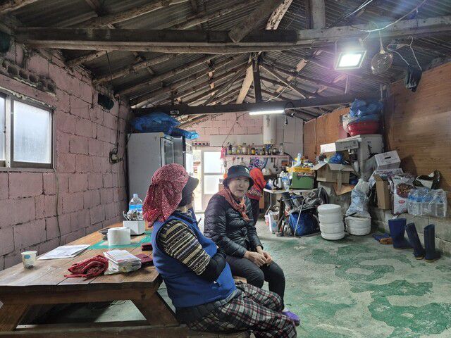 16일 전남 진도군 조도면 동거차도에서 만난 조광원씨 부인 김선희(오른쪽)씨가 세월호 참사 기억을 이야기하고 있다. 정대하 기자