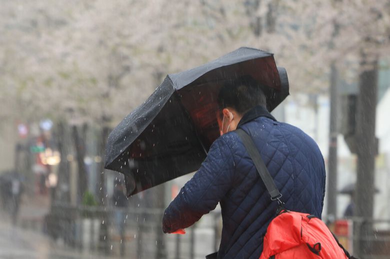 전국 곳곳 비가 내린 지난 14일 서울 서대문구 연세로에서 우산을 쓴 시민이 횡단보도를 건너고 있다. 연합뉴스