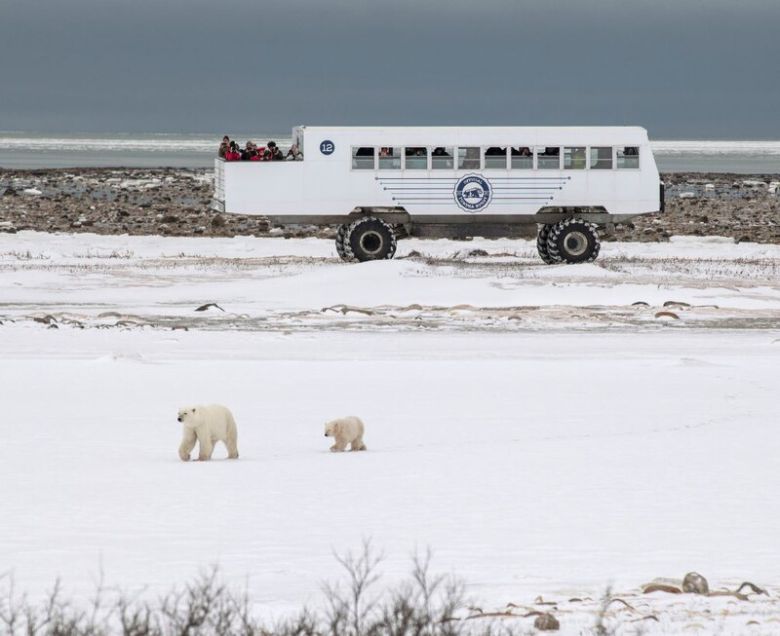 2025 소니세계사진상 ‘올해의 사진작가상’을 받은 ‘인류세 환상’ 시리즈. © Zed Nelson|Sony World Photography Awards 2025