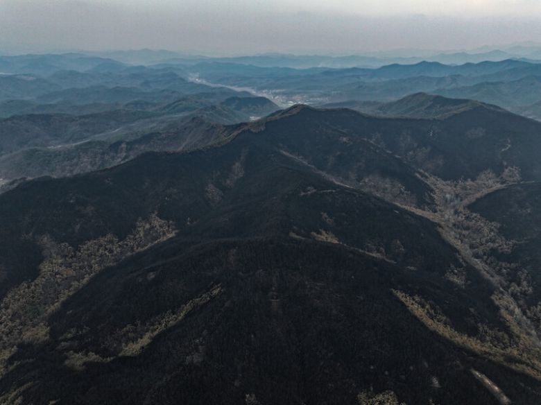 지난 3월 28일 경북 의성군 산림이 일주일간 지속된 산불로 폐허가 됐다. 연합뉴스