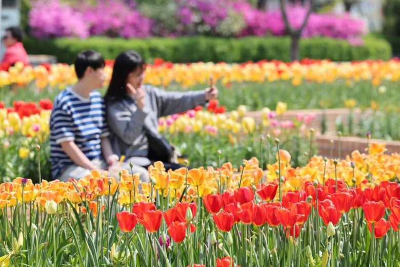 ‘2025 고양국제꽃박람회’ 개막날인 25일 경기도 고양시 일산호수공원 튤립꽃 앞에서 시민들이 기념사진을 찍고 있다. 정용일 선임기자
