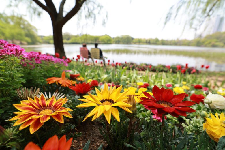 ‘2025 고양국제꽃박람회’ 개막날인 25일 경기도 고양시 일산호수공원에서 시민들이 수변을 보며 쉬고 있다. 정용일 선임기자