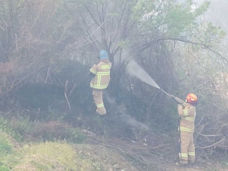 산림당국이 인제에서 발생한 산불을 진화하고 있다. 강원도소방본부 제공