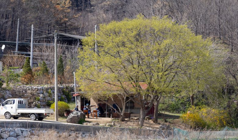 산불을 피한 오두막 앞 평상에서 마을 주민 이태희(76·왼쪽 셋째)씨가 작가의 마지막 말들을 떠올리고 있다. 그는 청년 시절 작가의 부탁을 받고 마을 동생들과 오두막을 지었고 작가의 유언에 따라 빌뱅이 언덕에 그의 유해를 뿌렸다. 김진수 선임기자