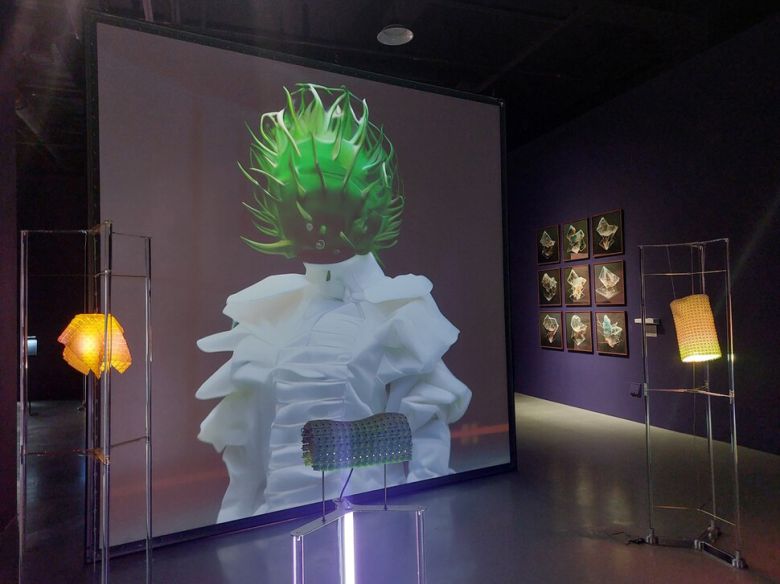 광주미디어아트플랫폼에서 열고 있는 양숙현 작가의 미디어아트 특화전 ‘사변적 물질’의 주요 출품작 중 하나인 ‘로봇생태계의 외래종’(2023). 인간 위주의 관점에서 벗어나 예술가의 다기한 상상력으로 만들어낸 외래종 로봇들의 이미지를 선보인다. 노형석 기자