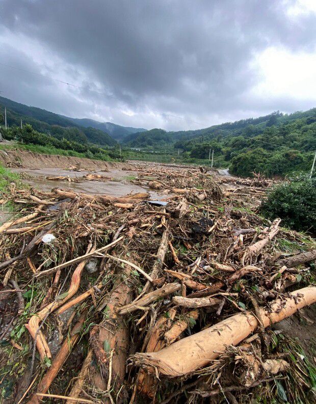 2023년 폭우 때 마을 전체 사과원이 떠내려간 모습. 필자 제공