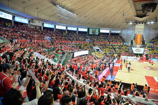 13일 서울 에스케이(SK)의 통합 우승을 기원하며 서울 잠실학생체육관을 찾은 팬들. 한국농구연맹 제공