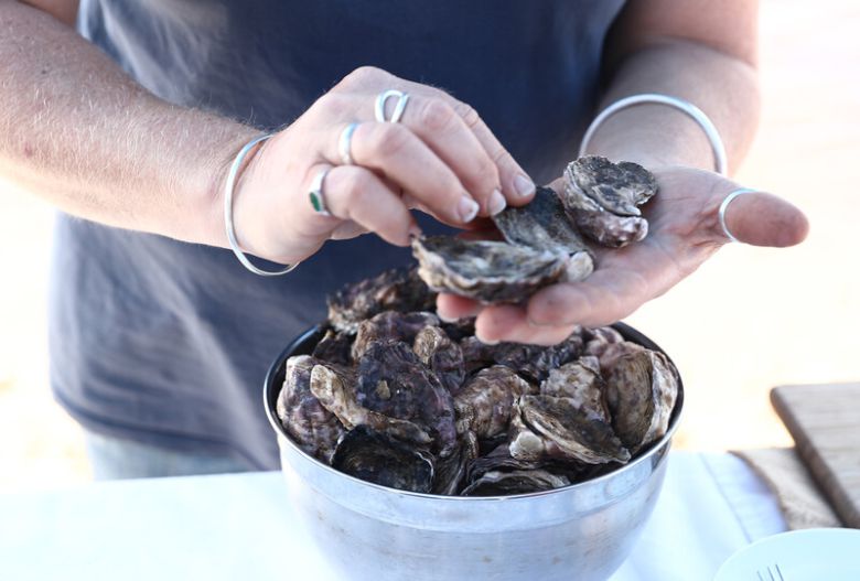 굴 양식업체 ‘브로드워터 오이스터스’의 주인 수 매킨타이어가 자신이 양식하는 굴에 관해 설명하고 있다. 박미향 기자