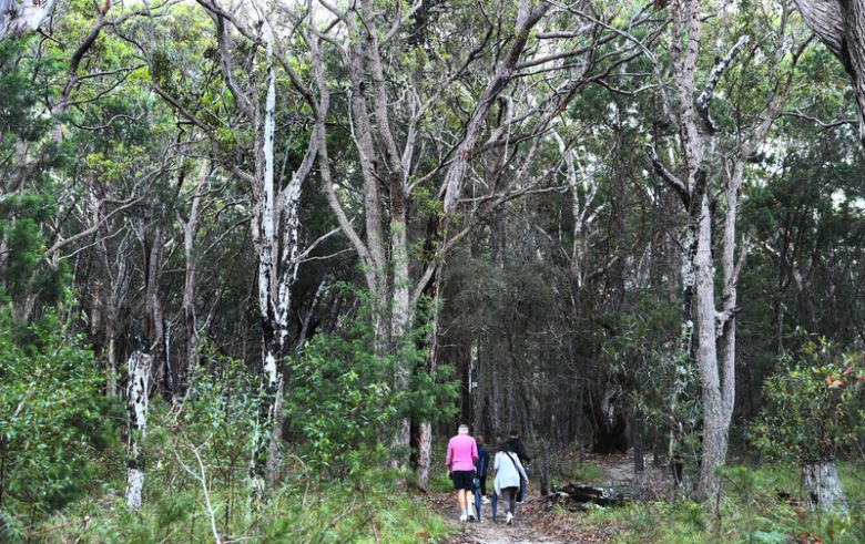 베오와국립공원에서 숲과 교감하기 위해 발을 디딘 여행객들. 박미향 기자