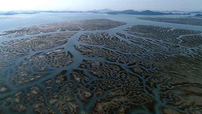 새만금 수라갯벌을 다룬 황윤 감독 다큐멘터리 ‘수라’의 한 장면. 스튜디오 두마 제공